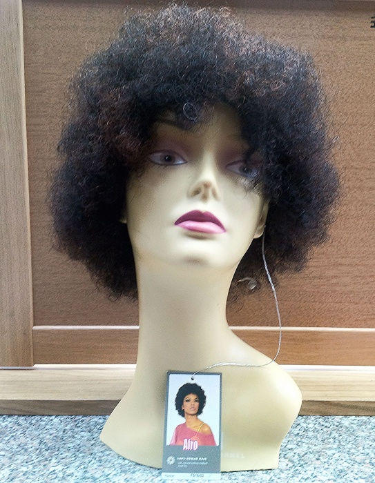 Sleek Fashion Afro Human Hair Wig