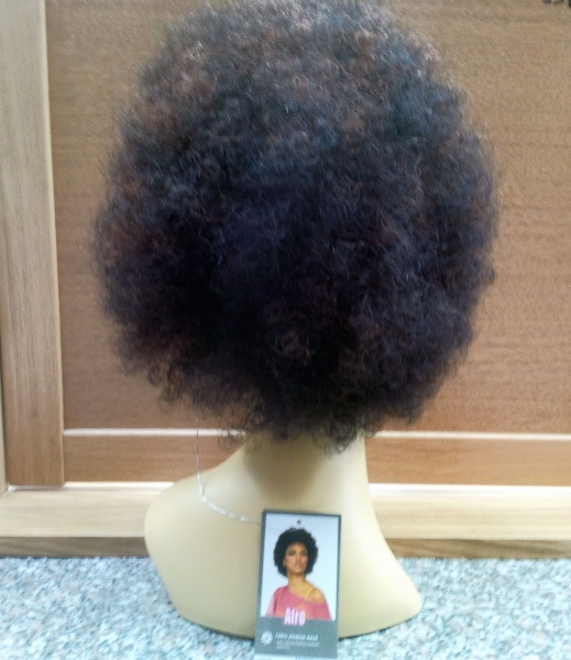 Sleek Fashion Afro Human Hair Wig