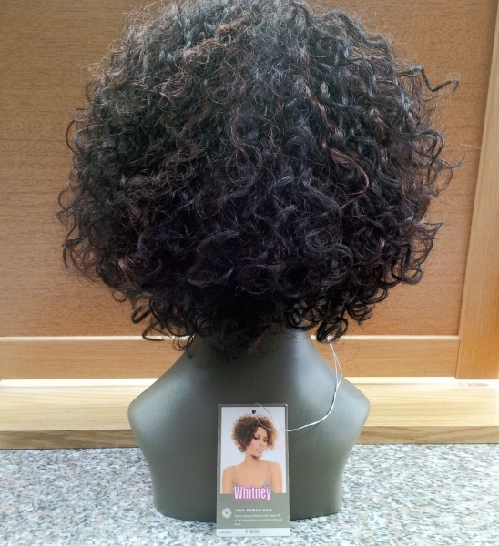 Sleek  Fashion Whitney Human Hair  Wig